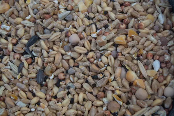 alimento para perdices